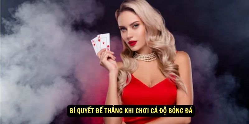 Bí quyết để thắng khi chơi cá độ bóng đá