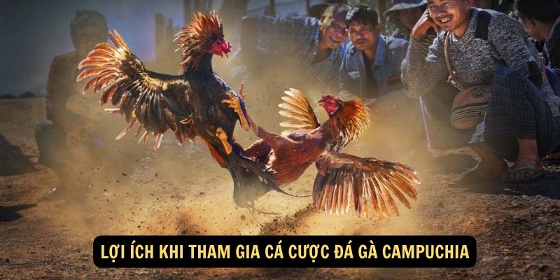 Lợi ích khi tham gia cá cược đá gà Campuchia