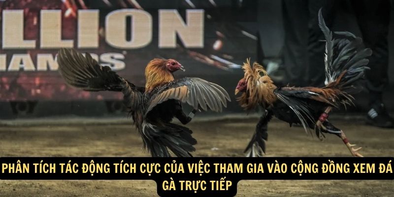 Phân tích tác động tích cực của việc tham gia vào cộng đồng xem đá gà trực tiếp